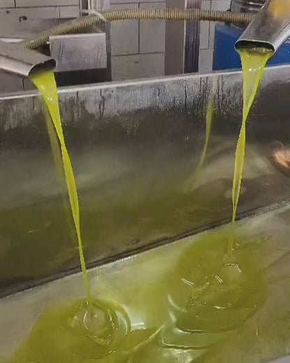 extra virgin olive oil 16 L tank Gold pressed